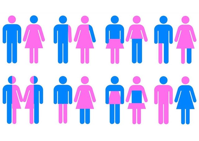 Il convegno delle polemiche. Gender in Toscana,  Palazzo Vecchio lancia l’hashtag contro tutte le discriminazioni