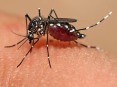 Un caso di Dengue a Colle di Val d’Elsa. Via alla procedura di prevenzione nella zona interessata