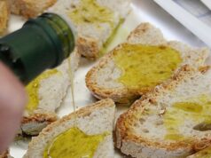 Festa dell’Olio a San Quirico d’Orcia. La nuova annata dell’extravergine d’oliva di qualità protagonista per cinque giorni