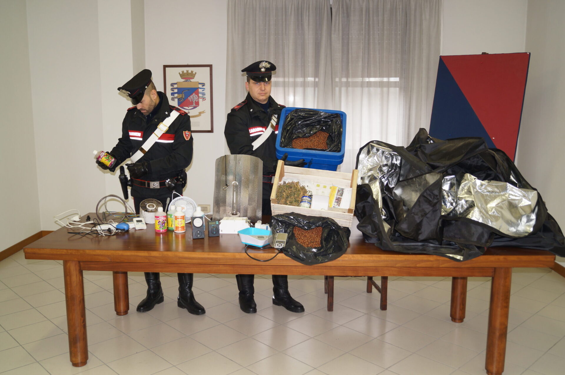 Serra indoor. Coltivazione di marijuana in casa, scoperto 23enne a Lastra a Signa