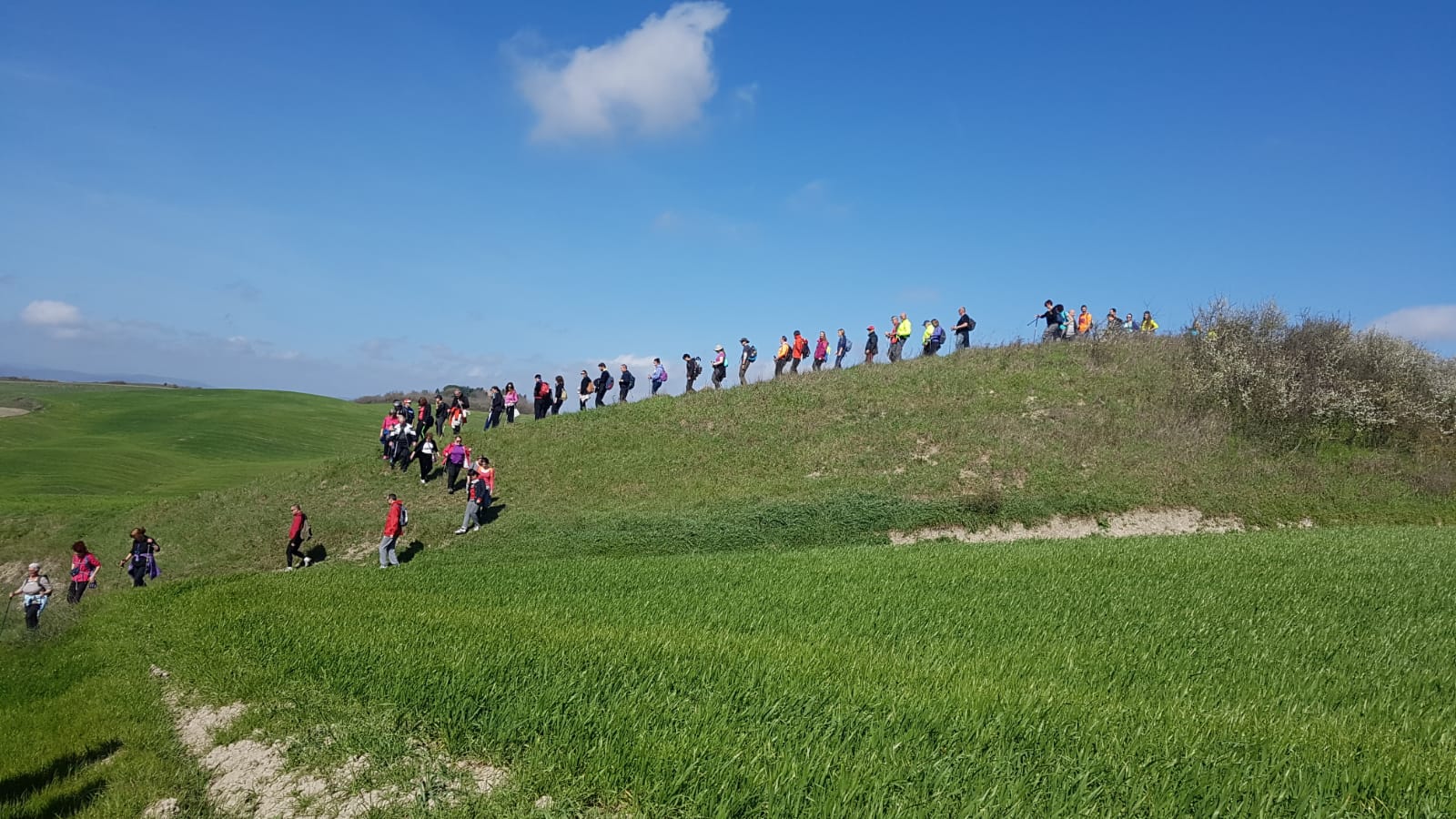 Lauretana Slow. Con “L’anello di primavera” sbocciano i trekking nelle Crete Senesi