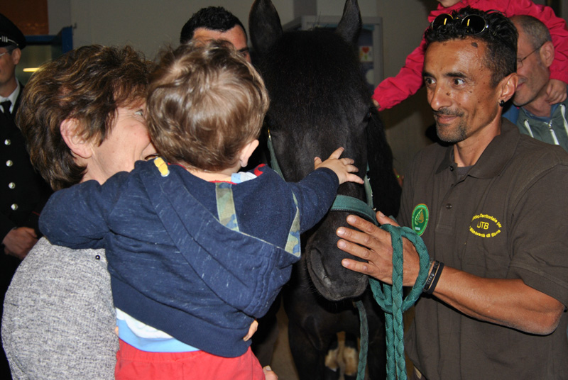 Sorpresa in corsia. Cavallini di Monterufoli in ‘visita’ bimbi ricoverati in ospedale