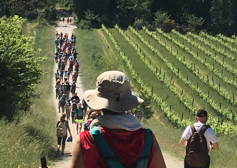 A piedi o in bici al cospetto delle torri di San Gimignano sulle orme di Sigerico con “Francigena per tutti”