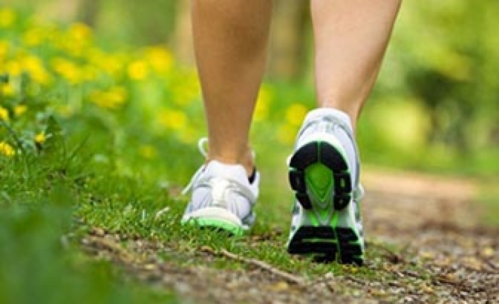 A spasso per boschi e vigne con la camminata di 7 km