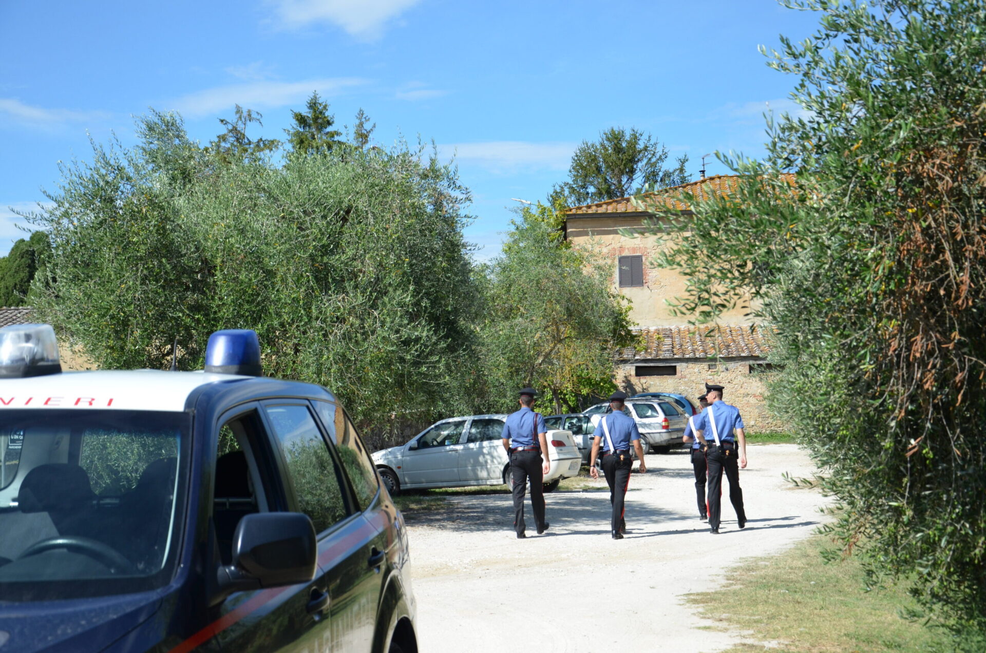 Oli e permessi essenziali. Scoperto laboratorio di piante aromatiche non a norma