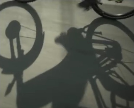 A lavoro con bici e bus. Dalla Regione Toscana incentivi per lasciare a casa l’auto