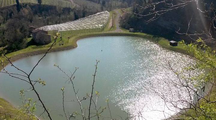 L’agricoltura che ha sete di futuro in una tavola rotonda sull’acqua per uso irriguo