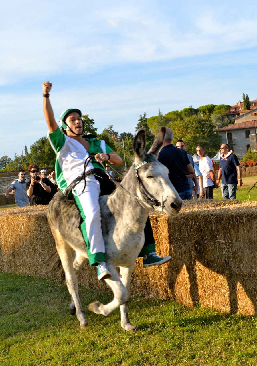 Palio dei Ciuchi, vince il Prato con Pampero