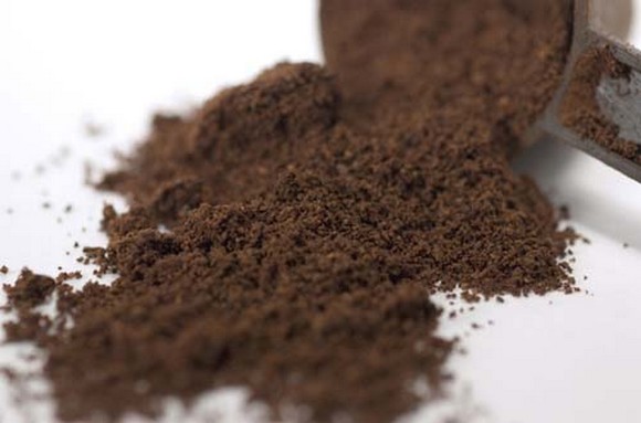 Economia circolare. Fondi di caffè raccolti in carcere riusati in agricoltura. Firmato il protocollo
