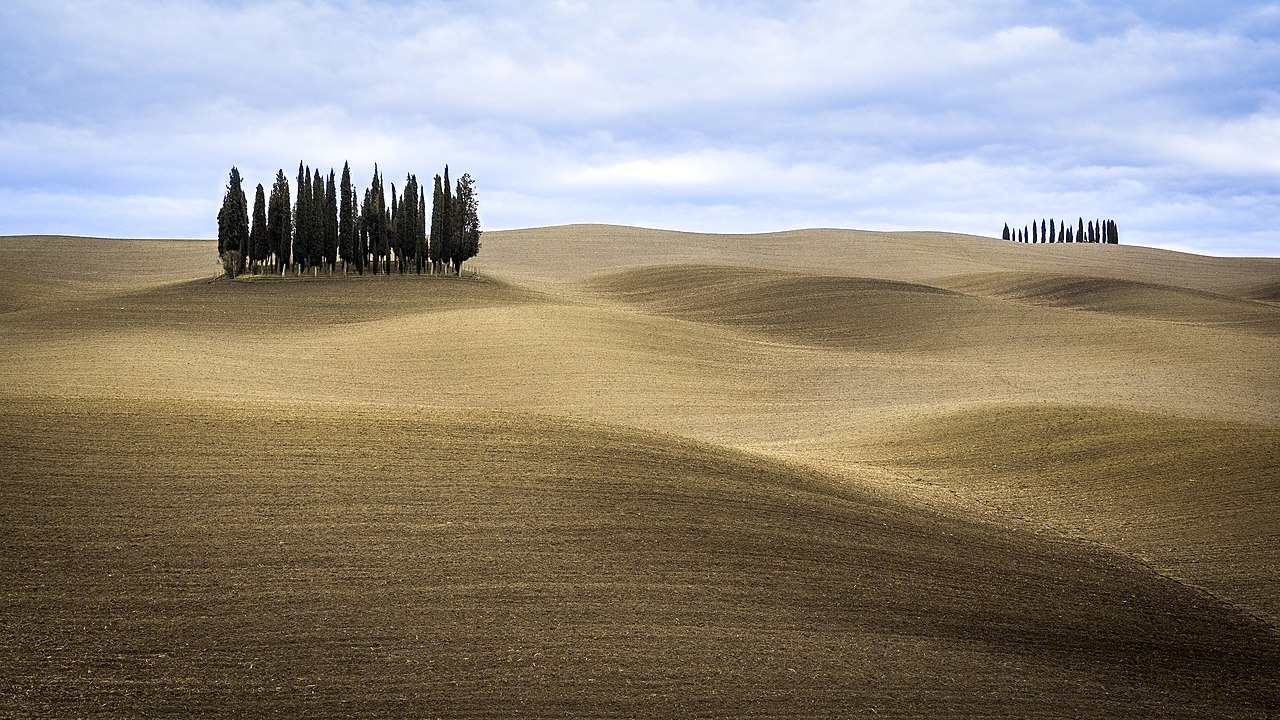 I Cipressi di San Quirico conquistano i “Wiki Loves Monuments”. Due foto nella Top 10 su oltre 29mila immagini in gara