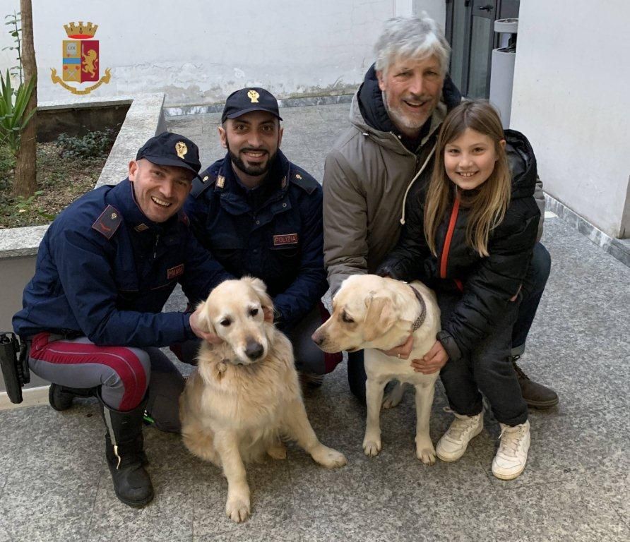 Befana a 4 zampe. La Polstrada salva 3 cani che vagavano sulla strada