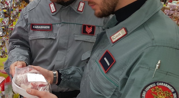 Caccia alla filiera illegale. Carne non tracciata, 50 quintali di cinghiale e capriolo sequestrati