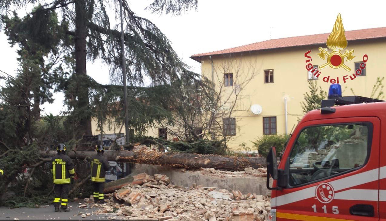 La furia del vento. Chiusa per precauzione la Torre di Pisa, 11 piante cadute a Firenze