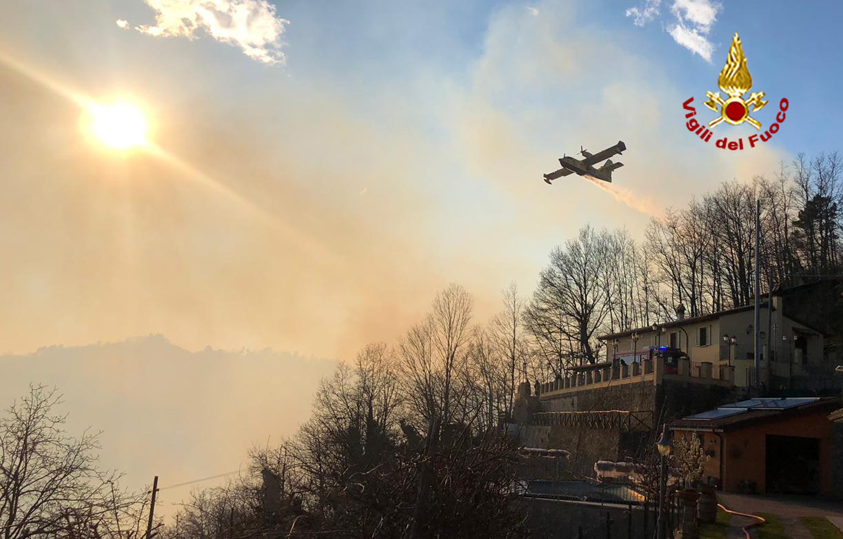 Pineta in fiamme. Incendio nel pistoiese, chiusa strada provinciale