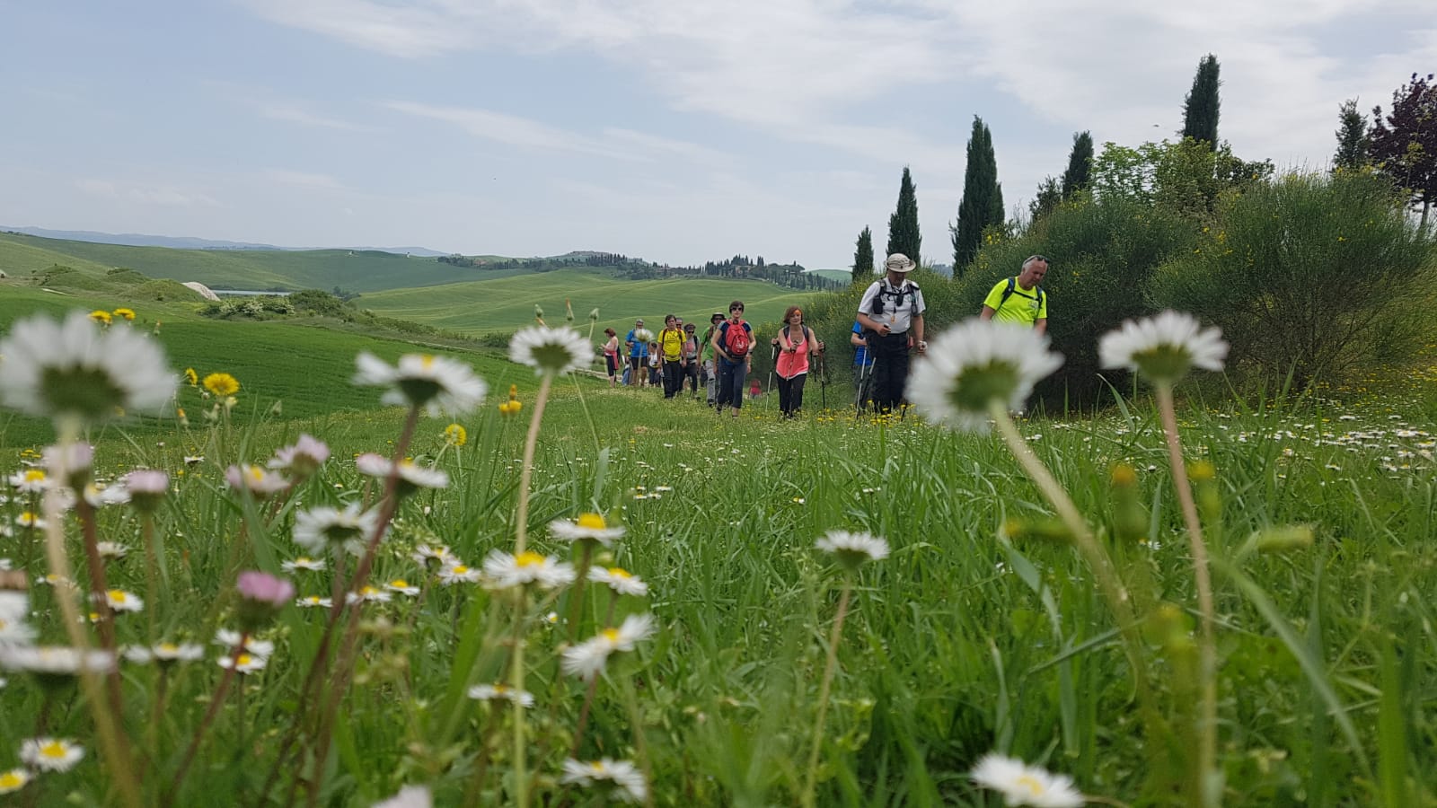 A spasso nella storia. “Trekking Guelfi e Ghibellini” sulle tracce della battaglia di Montaperti