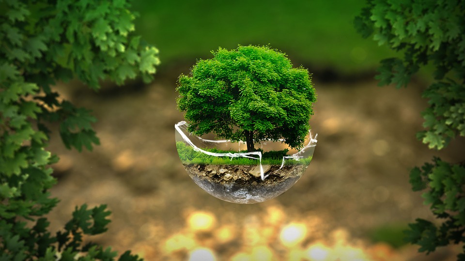 Ambiente e disturbi: un mondo più pulito per il benessere della persona. Gli psicologi toscani per il Fridays For Future