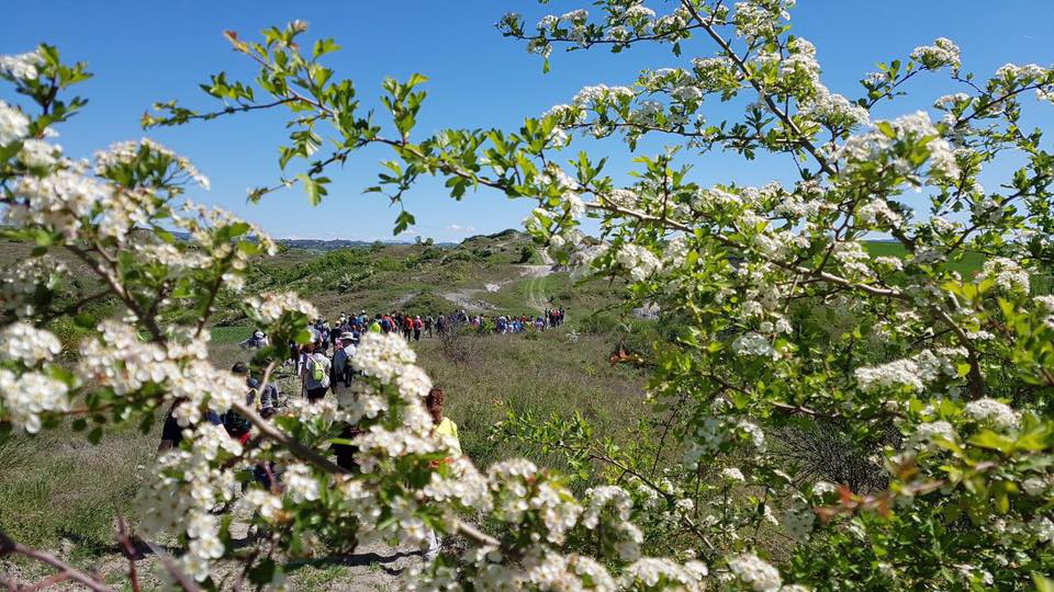 Pasquetta in Lauretana. Trekking nel cuore delle Crete Senesi tra paesaggi mozzafiato
