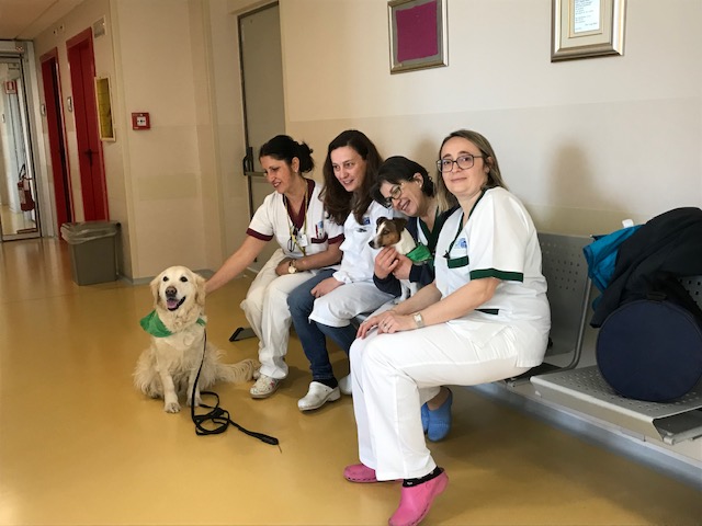 In corsia con Eloise e Carrie. Pet Therapy nel reparto di Oncologia, «Effetto terapeutico immediato»