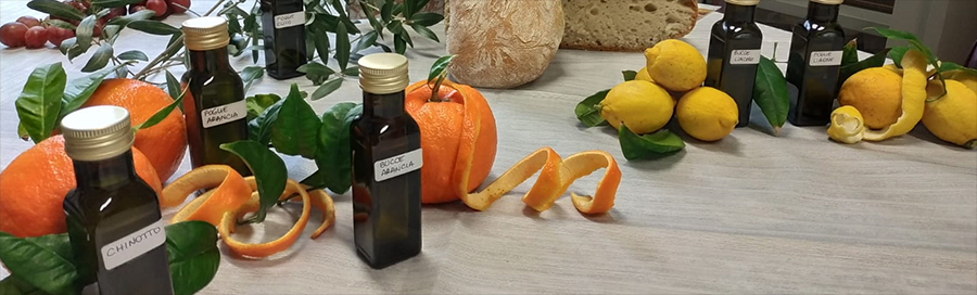 La ricerca. Crema antiossidante dagli agrumi della Certosa di Calci