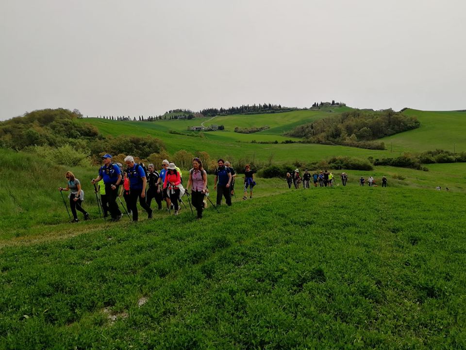 Trekking di Pastasciano. Nel cuore delle Crete Senesi sulle tracce del grano duro Senatore Cappelli