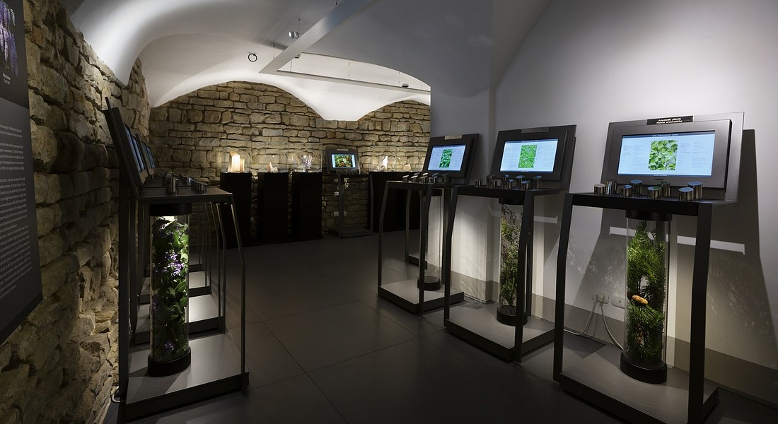 Percorso multi sensoriale. Nel cuore di Firenze un museo dedicato all’arte del profumo