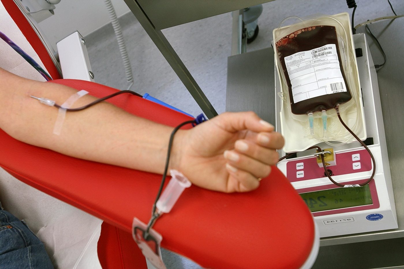 Strategie e obiettivi. Tutti a bordo all’Accademia Navale per la Giornata regionale della donazione del sangue