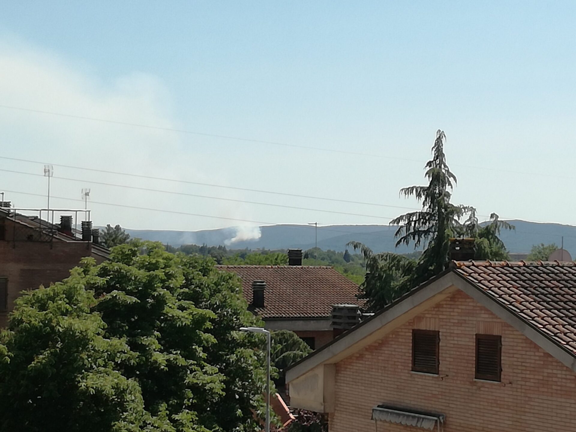 Fiamme nel bosco. Incendio a San Lorenzo a Merse alimentato dal vento, 2 elicotteri in azione