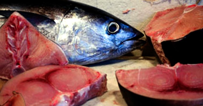 Pacco tonno. Trascinano il pesce sul pavimento fino alla cucina, chiuso ristorante etnico