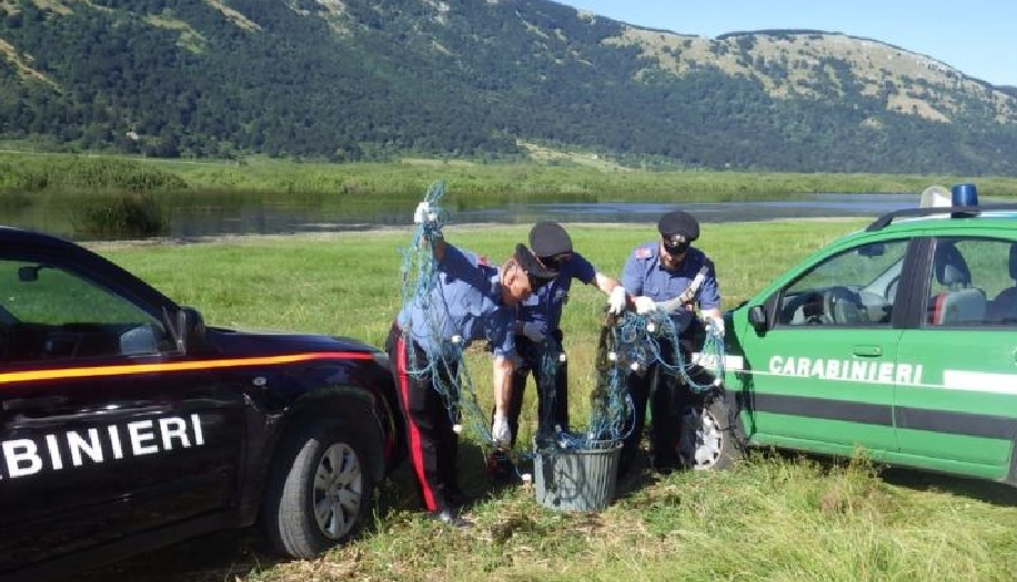 Bracconaggio ittico. Pescatore di frodo al lago di Chiusi, Forestali sequestrano attrezzatura illegale