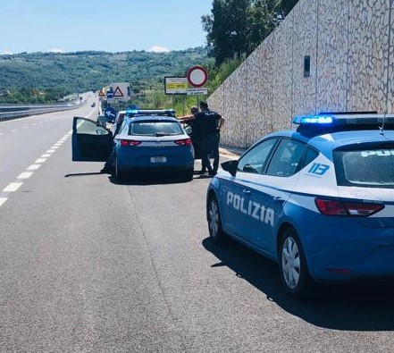 Cane vagante in Autopalio. Salvato dalla Polizia e consegnato al proprietario