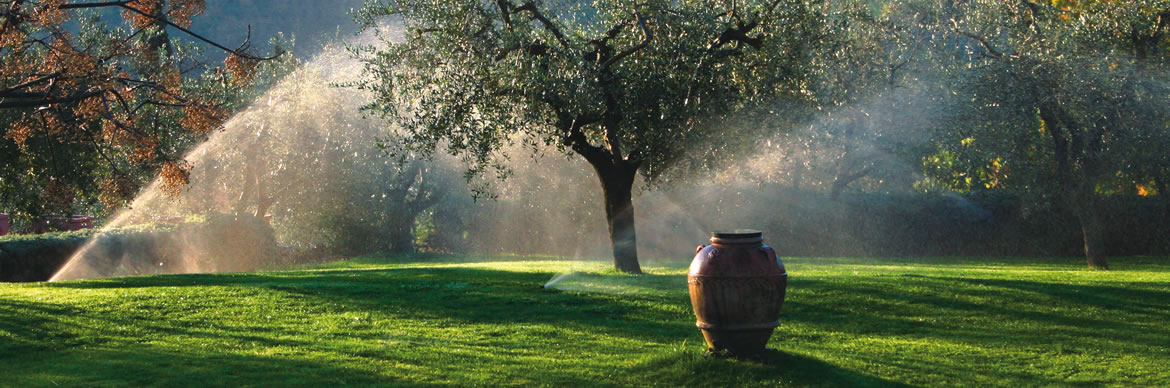 Irrigazione smart. Nasce il sistema intelligente per innaffiare il verde pubblico, si risparmia il 30% di acqua