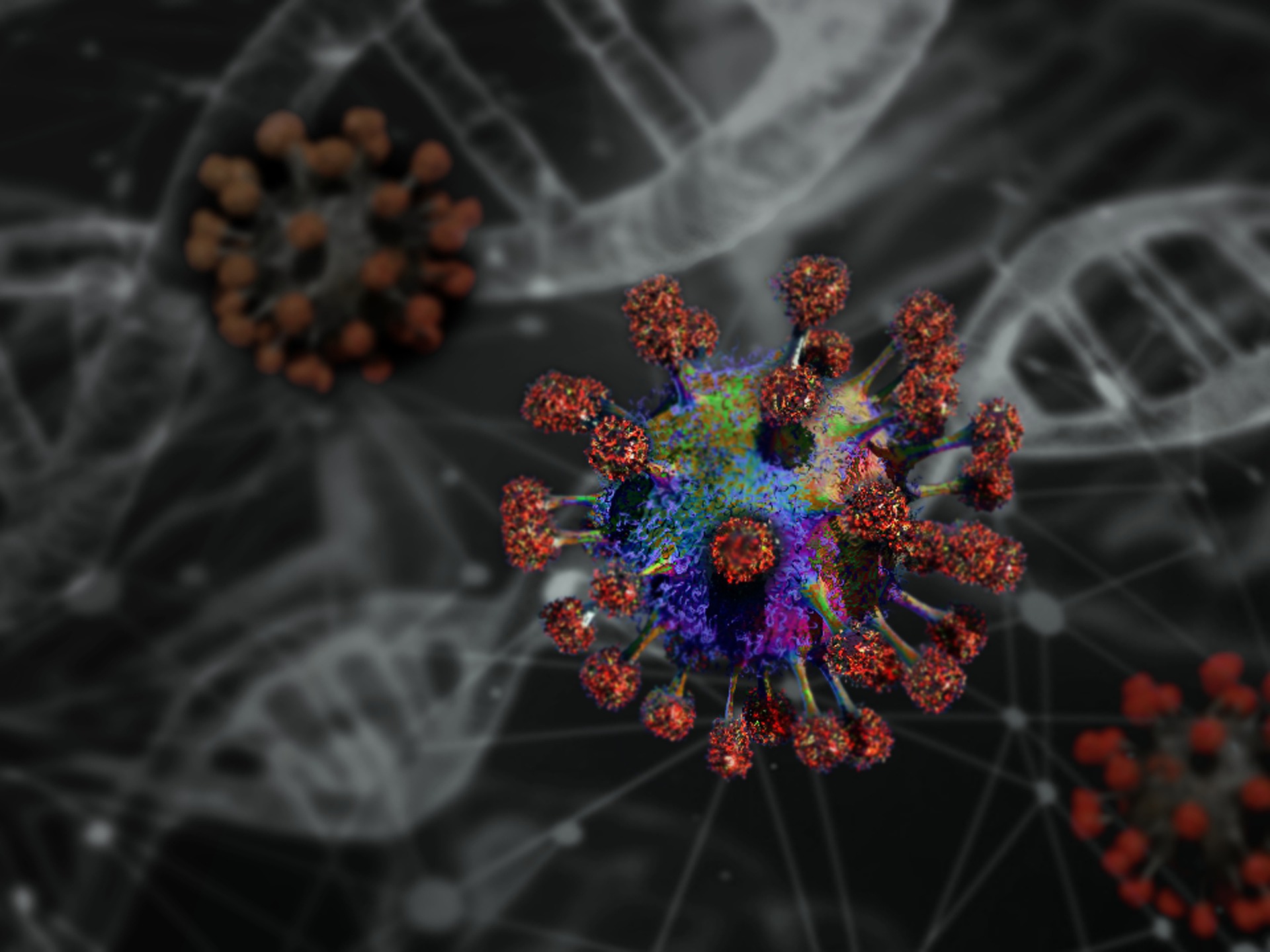 Invito alla prudenza. Coronavirus, l’epidemiologo Lopalco: «Virus distruttivo anche in debolmente positivi»