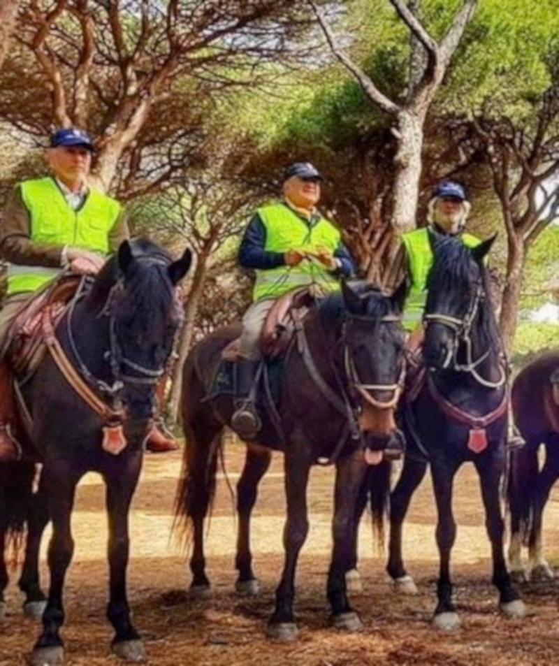 Coronavirus. Nei weekend attivo il servizio di pattugliamento a cavallo sul litorale