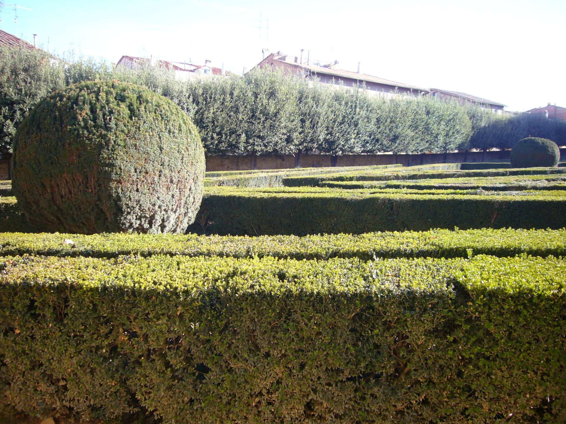 Horti Leonini, lavori di messa in sicurezza e restauro della Ragnaia realizzati a regola d’arte