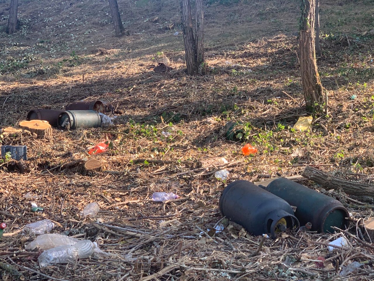 La scoperta. Discarica abusiva a poca distanza dal centro storico