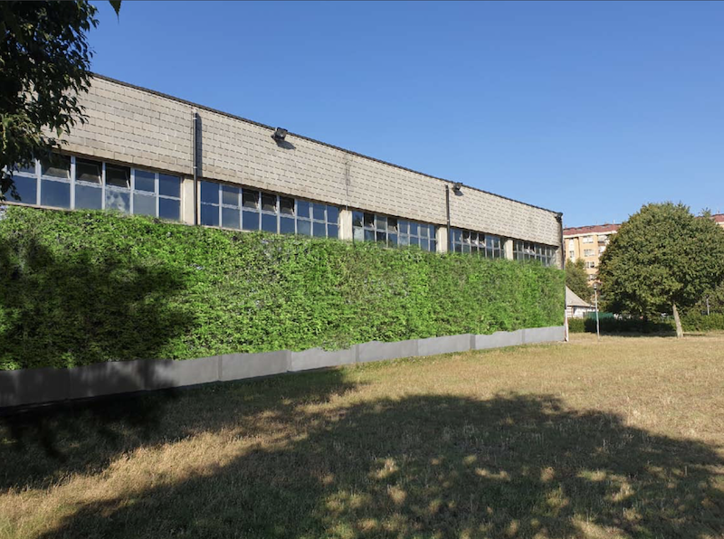 Pareti verdi. Meno inquinanti e più bellezza, scuole e edifici rivestiti di piante grazie a Fondazione CR Firenze