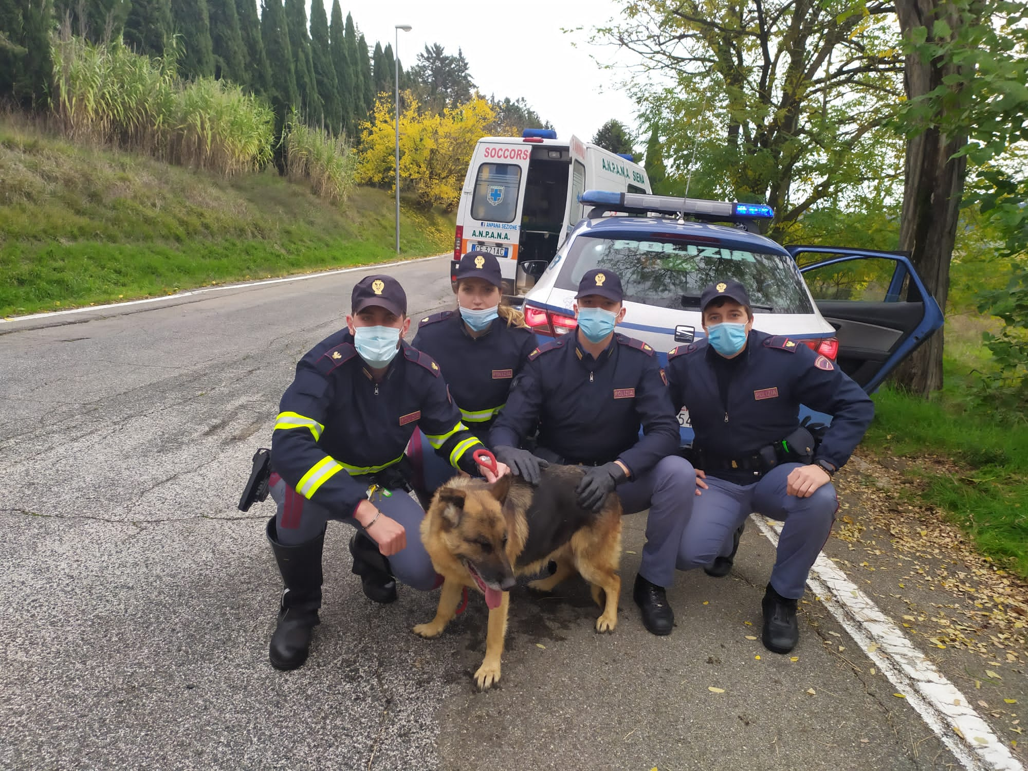 Lieto fine. Pastore tedesco vaga sull’Autopalio, salvato dalla Polizia