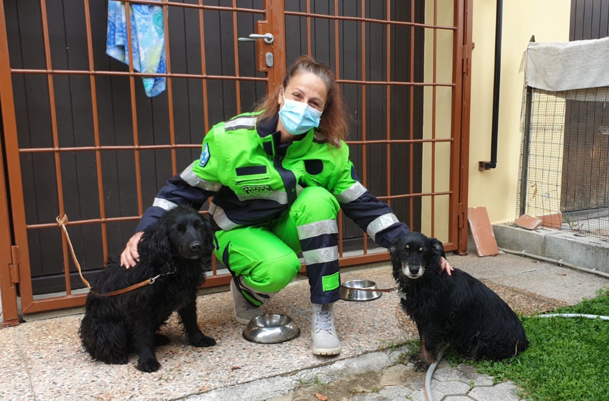 Coronavirus. Volontari e Comune insieme per portare a spasso i cani di chi è in quarantena