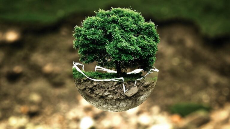 Giornata della Terra, per AdF gli obiettivi di sviluppo sostenibile dell’Agenda 2030 sono bussola per ogni azione