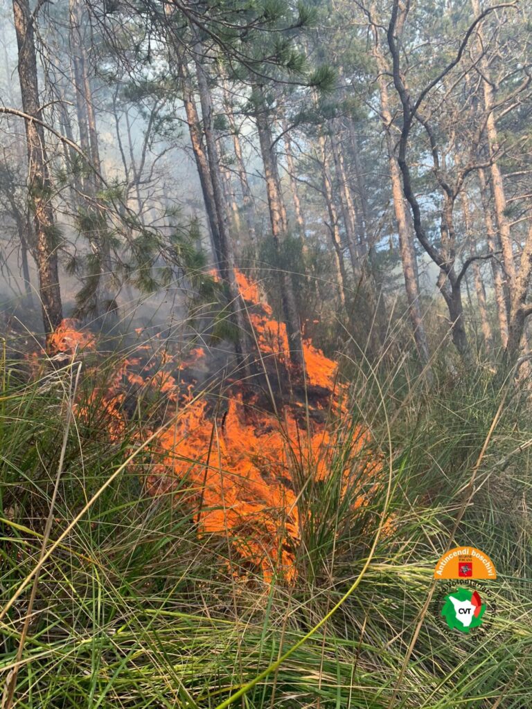 Regione Toscana approva Piano Antincendi Boschivi. Crescono le risorse a difesa dei boschi
