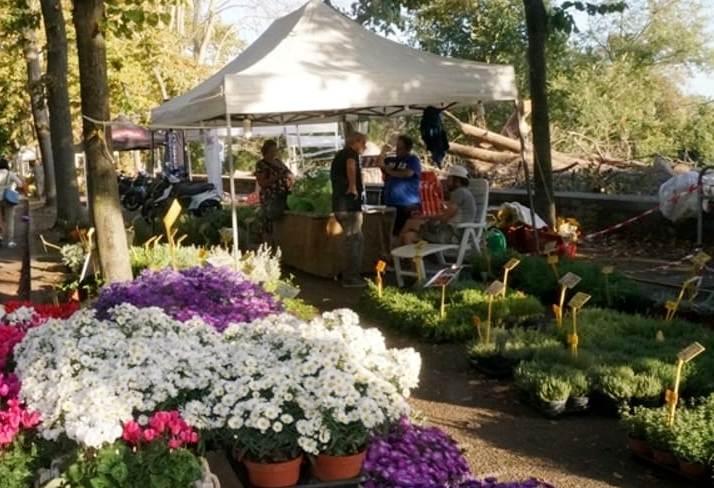 Festa di Sant’Ubaldo, a Pisa torna la Fiera degli fiori sul viale delle Piagge