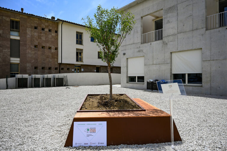 Un albero di mandorlo nel Polo della Memoria, il ricordo dell’Università di Pisa per i ‘Desaparecidos’