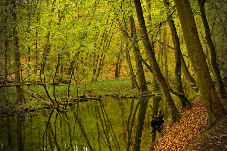 Rete Natura 2000, con Upa Siena focus online su opportunità, vincoli e indennizzi