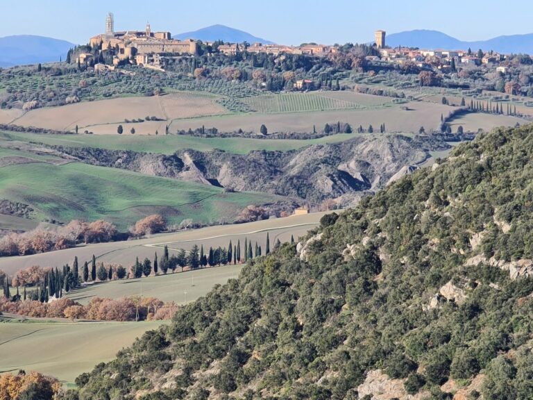 Le colline di Pienza e Montepulciano riconosciute Paesaggio Storico, in arrivo il marchio dal Mipaaf