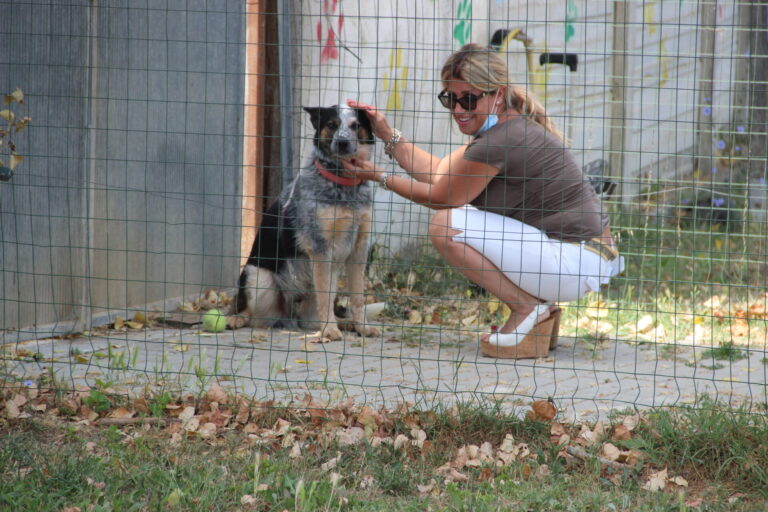 Pisa aderisce all’appello di Molazzana. Presi in custodia 5 cani al canile “Soffio di vento”