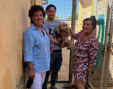 Una nuova casa ad Arezzo per 6 cani dopo l’appello del Comune di Molazzana