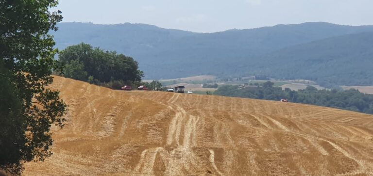 Sbalzata da mongolfiera, muore 39enne nel senese. Aperta inchiesta e disposta l’autopsia