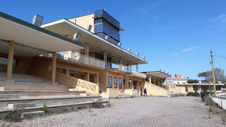 Cavalli, IHP diffida il sindaco di Livorno per le corse all’ippodromo