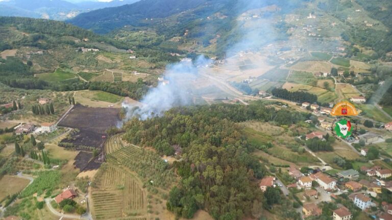 Incendi in Toscana. Saccardi: “Promuovere comportamenti più consapevoli per proteggere i boschi”