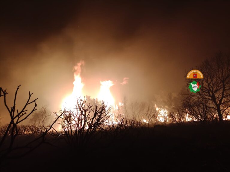 Incendio a Capalbio riattivato dal vento, in azione tre elicotteri e un Canadair